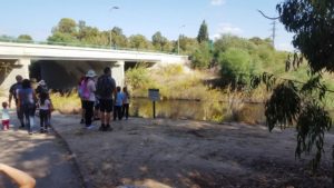 The Sorek stream going under the bridge