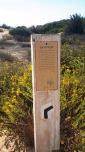 "Only in Israel" sign - In the sands of Israel coastal plain there are about 30 endemic plants  (plants that only grow up in specific places)