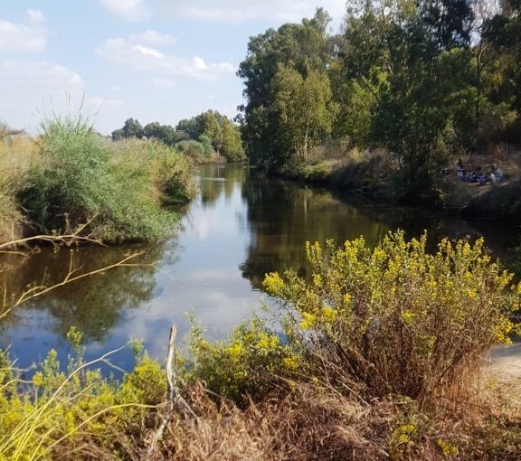 Mouth of Sorek stream