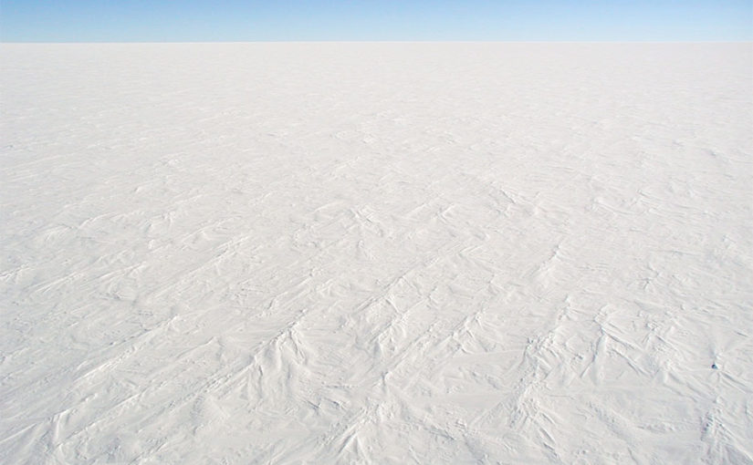 Antartica and the West bank
