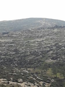 The demolition of the Jewish house in Maon farm: