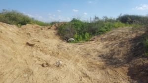 Mound to prevent Jeeps entering the reserve, and you can see they try - Purple Iris