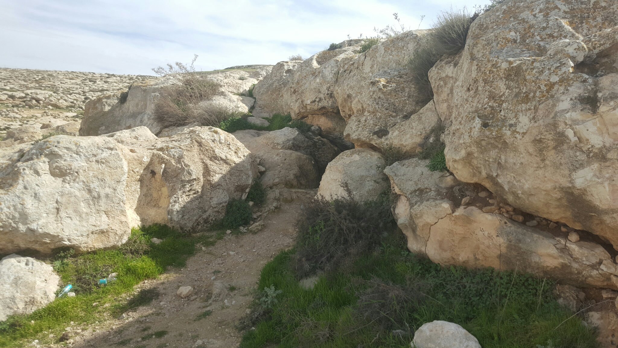 Hidden between the rocks - Avigail