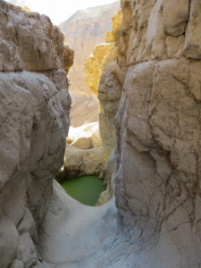 The beautiful Gev (a small pool left after floods) in Mahras Dalal, the famous canyon, of upper Arugot stream before the upper waterfall in Arogot stream. Rujum a-Naka