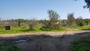  Tada! green fields all they way to the horizon