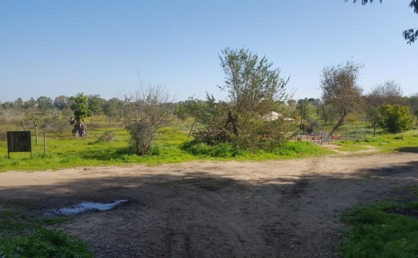 Hike in Pi-Glilot in Tel-Aviv
