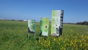  Signs about the flowering of the Narcissus (none could be seen on site) and on the importance of this area to be left agricultural as a green area. - Pi-Glilot