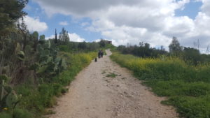 Climbing the hill - Latrun