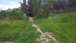 The back entrance to the monastery - Latrun