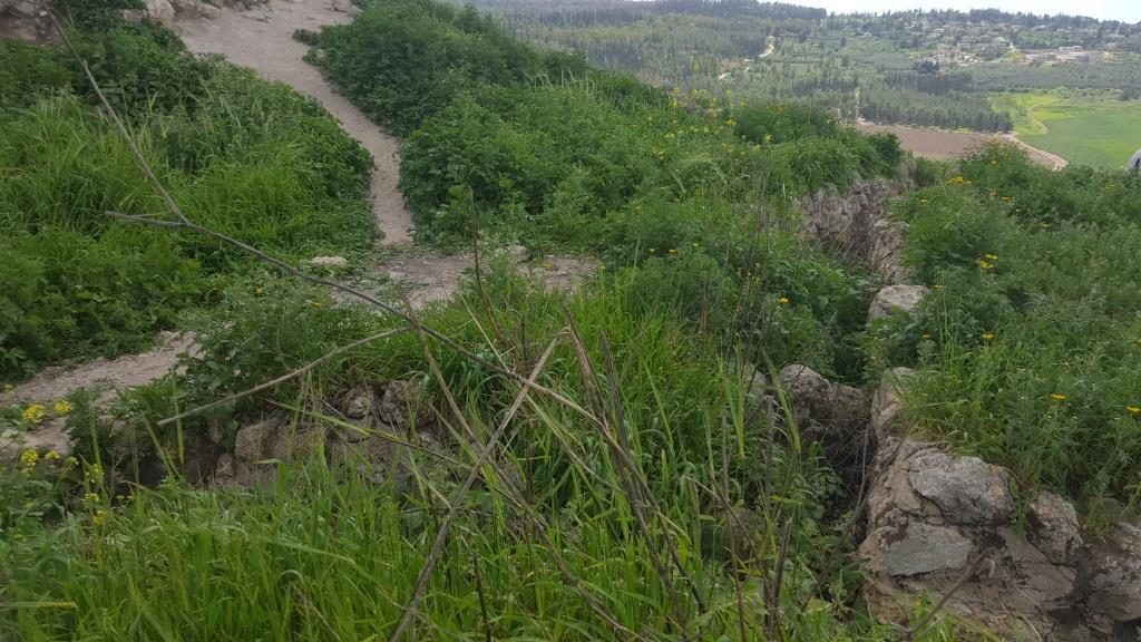 Jordanian trenches on top of the hill - Latrun