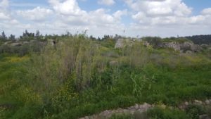 The rest of ruins of the castle - Latrum