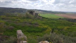 Looking South-West to you can see Neve Shalom - and Arab Jewish village - Latrun