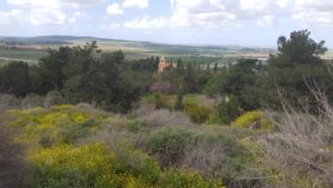 Looking North-West one can see the monastery bell tower and Gush Dan - Latrun