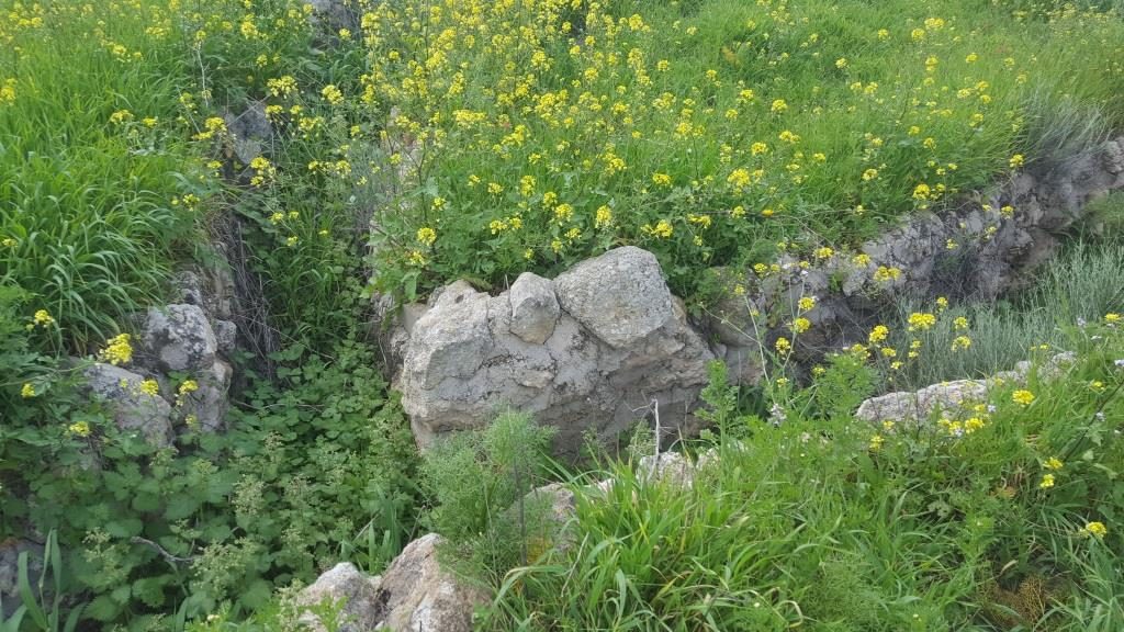 Jordanian trenches on top of the hill - Latrun