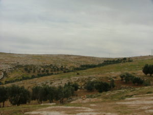 The valley below the center, typical view of this area.