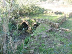 The foundations of the central flour mill nowadays - 7 mills