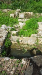 The western building - Hosted 7 stone mill and 3 tunnels to the water flow - 7 mills