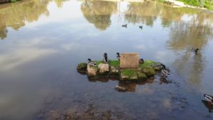 The explanation sign about the pond. This a column of the Roman that bridge her - 7 mills