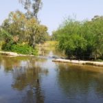 The rest of the water flowing in the river are pour over the edge of the weir