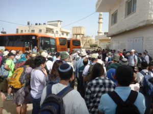 5 buses with around 250 people - Tel Gibeon