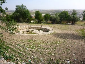 The wine cellars, on which 95,000 liters of wine have been found - Tel Gibeon