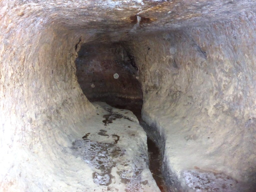 The spring tunnel about 60 meter long, 2*2 meter. Wonderful of chiseling. The guys there are trying determine what is the age of the tunnel. Those tunnels are dug in order to increase the water flow by allowing it to run easily in the tunnel instead through the rock. - Tel Gibeon