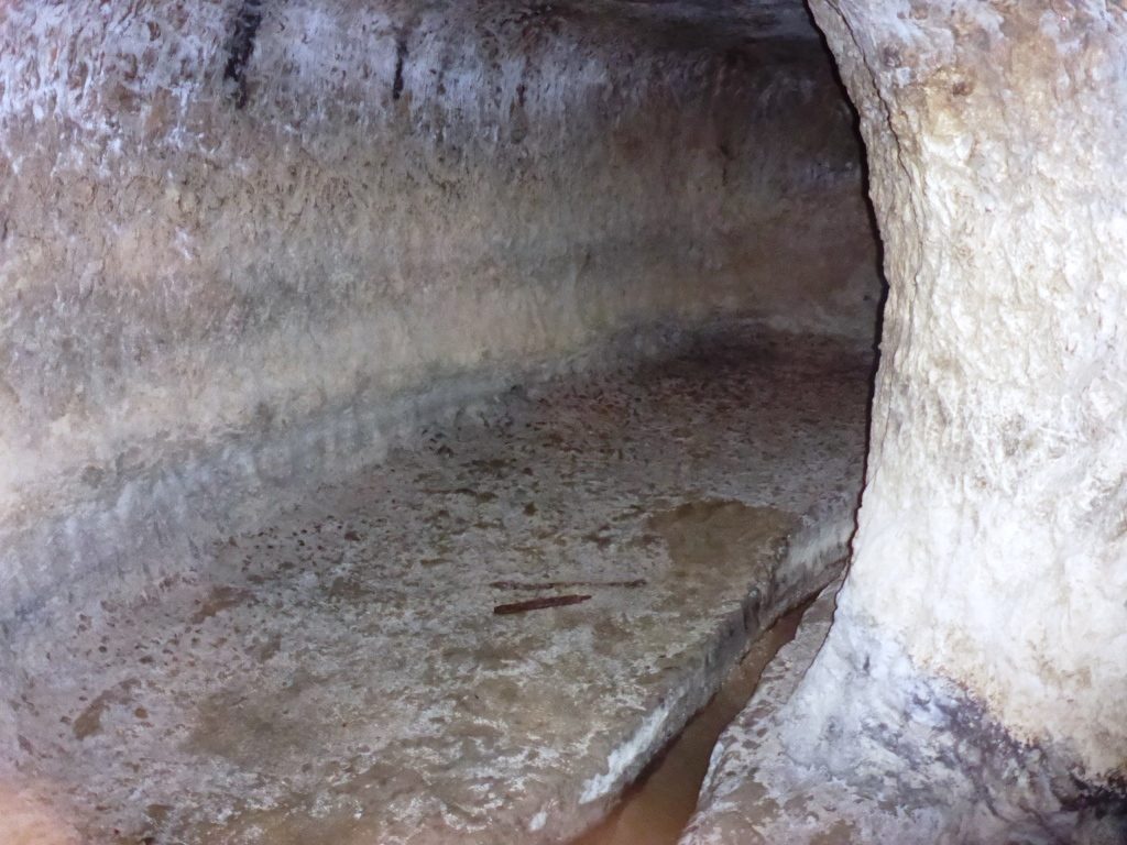The spring tunnel about 60 meter long, 2*2 meter. Wonderful of chiseling. The guys there are trying determine what is the age of the tunnel. Those tunnels are dug in order to increase the water flow by allowing it to run easily in the tunnel instead through the rock. - Tel Gibeon