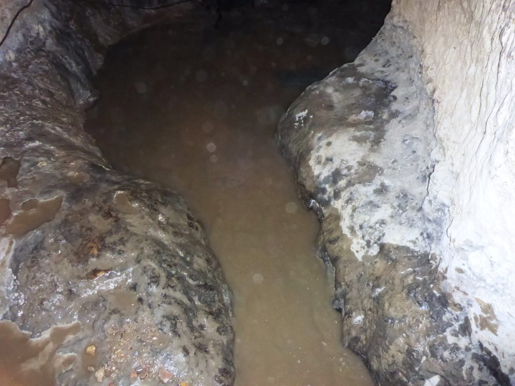 The spring tunnel about 60 meter long, 2*2 meter. Wonderful of chiseling. The guys there are trying determine what is the age of the tunnel. Those tunnels are dug in order to increase the water flow by allowing it to run easily in the tunnel instead through the rock. - Tel Gibeon