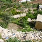 Looking down on the lower entrance and the external tunnel from the edge of top of the tell. The opening in the right pic is a air hole of the external tunnel. - Tel Gibeon