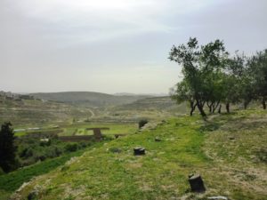 Looking East from the tell you can see on the horizon the Northern outskirts of Jeruslaem - Tel Gibeon