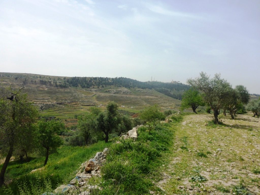 Looking South from the tell to Nabi Samwil - Tel Gibeon