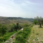 Looking South from the tell to Nabi Samwil - Tel Gibeon