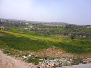 The Gibeon valley, such a beautiful place but scared with fences.Tel Gibeon