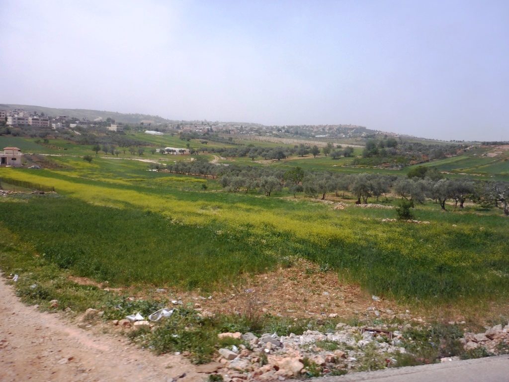 Israeli settlements West to El-Jib: Har Samuel (part of Giv'at Ze'ev), Givon HaHadasha, Giva't Ze'ev. - Tel Gibeon