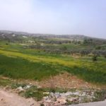 Israeli settlements West to El-Jib: Har Samuel (part of Giv'at Ze'ev), Givon HaHadasha, Giva't Ze'ev. - Tel Gibeon