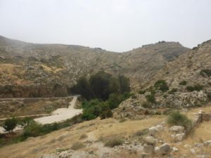 The spring area, easy to recognize with all those large trees