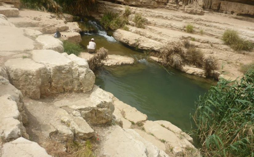 The stream in the middle of the desert