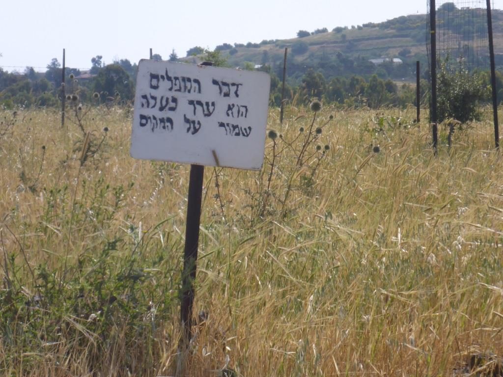 This road was an important line in the Yom Kippur war and many memorial are spread along it. Petroleum road