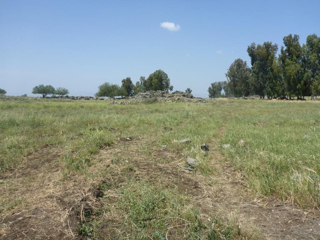 Remains of an ancient settlement