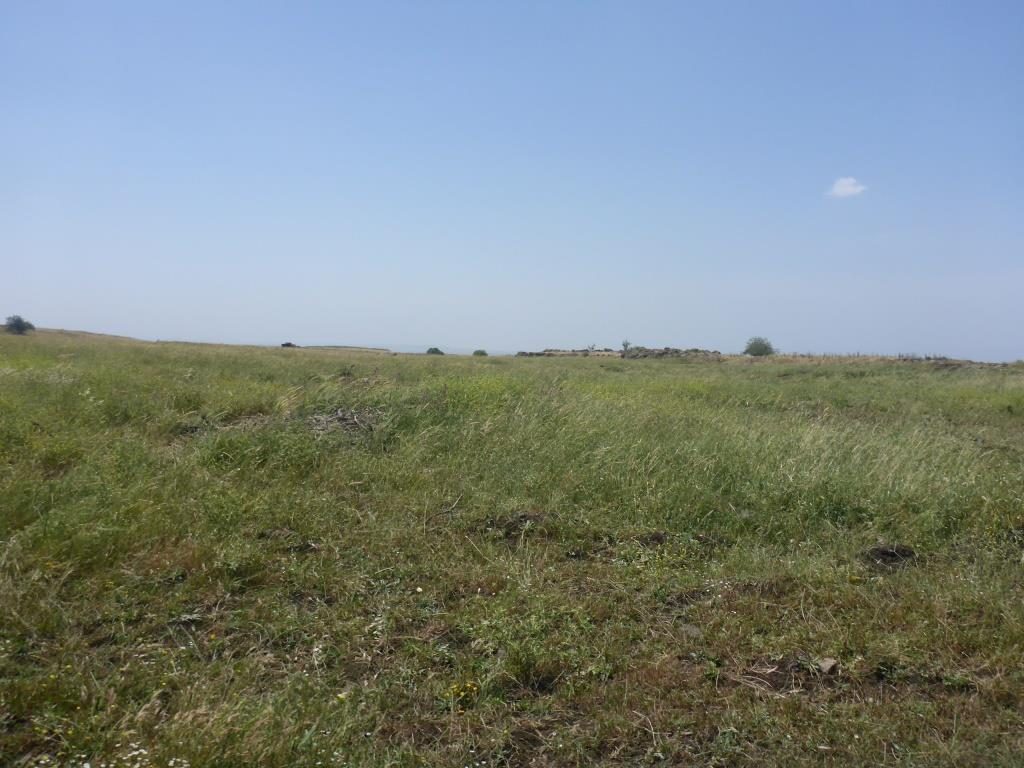 Remains of an ancient settlement