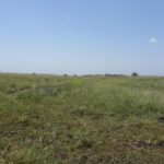 Remains of an ancient settlement