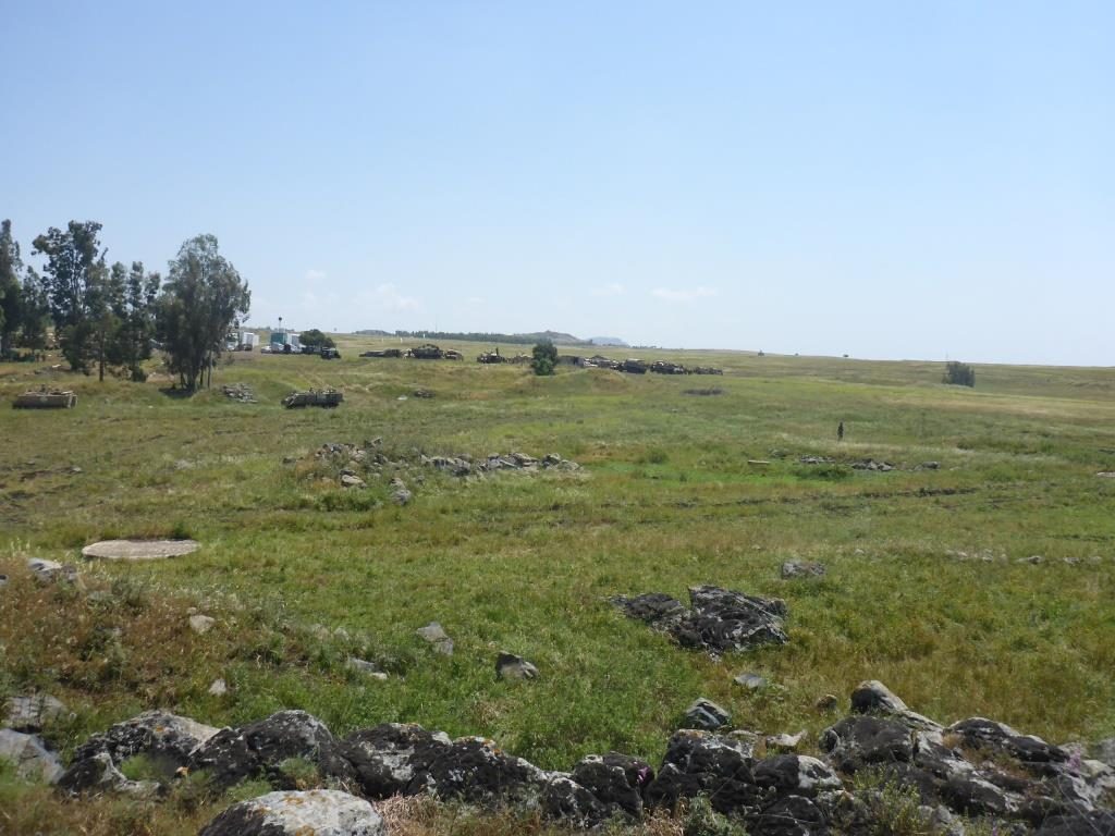 Remains of an ancient settlement