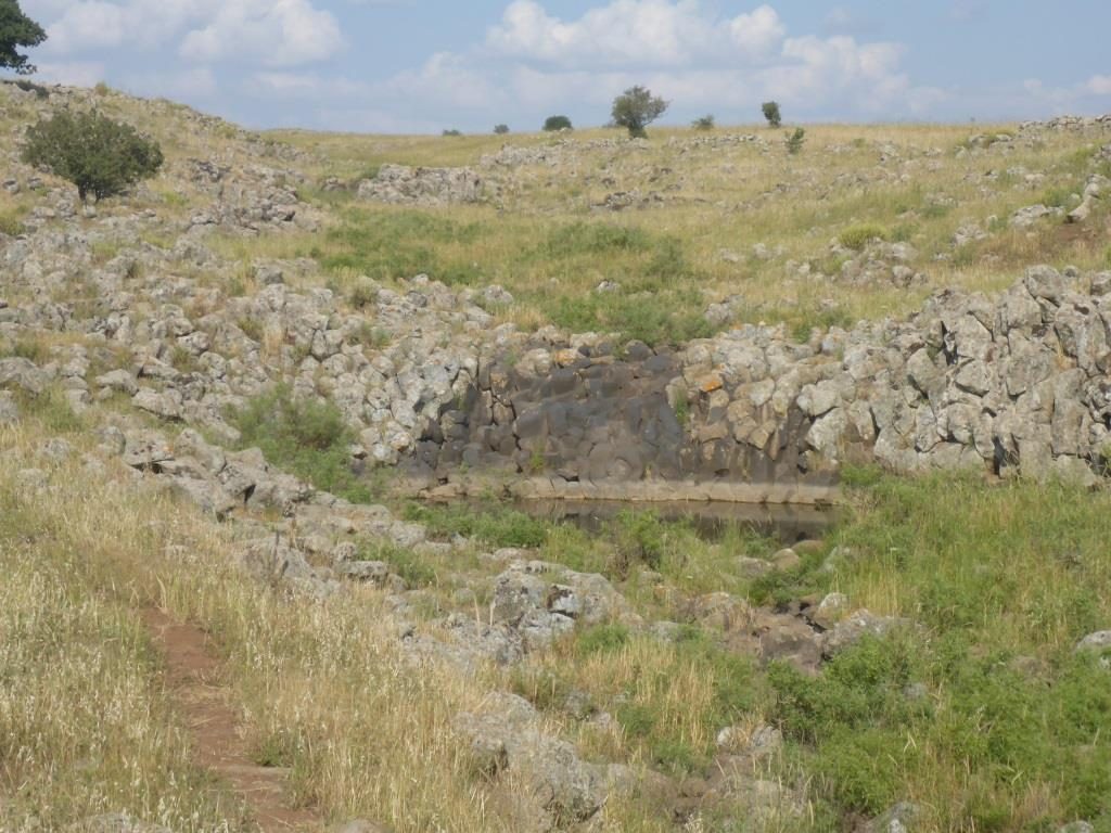 A small pool not far from the road