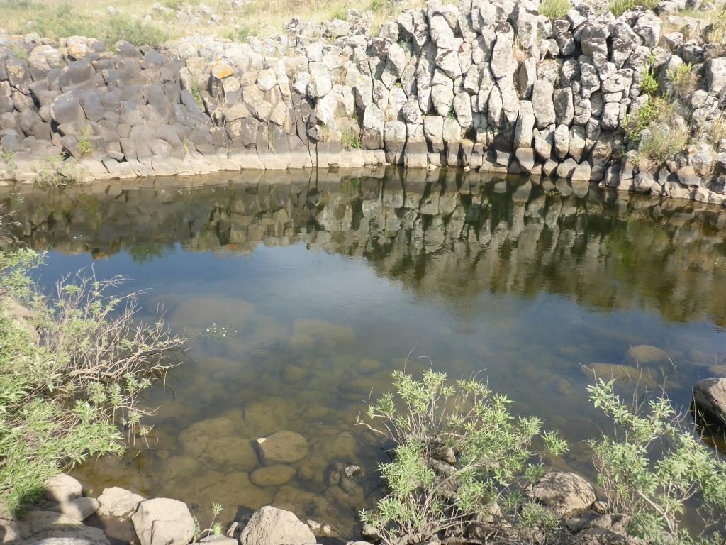 A small pool not far from the road