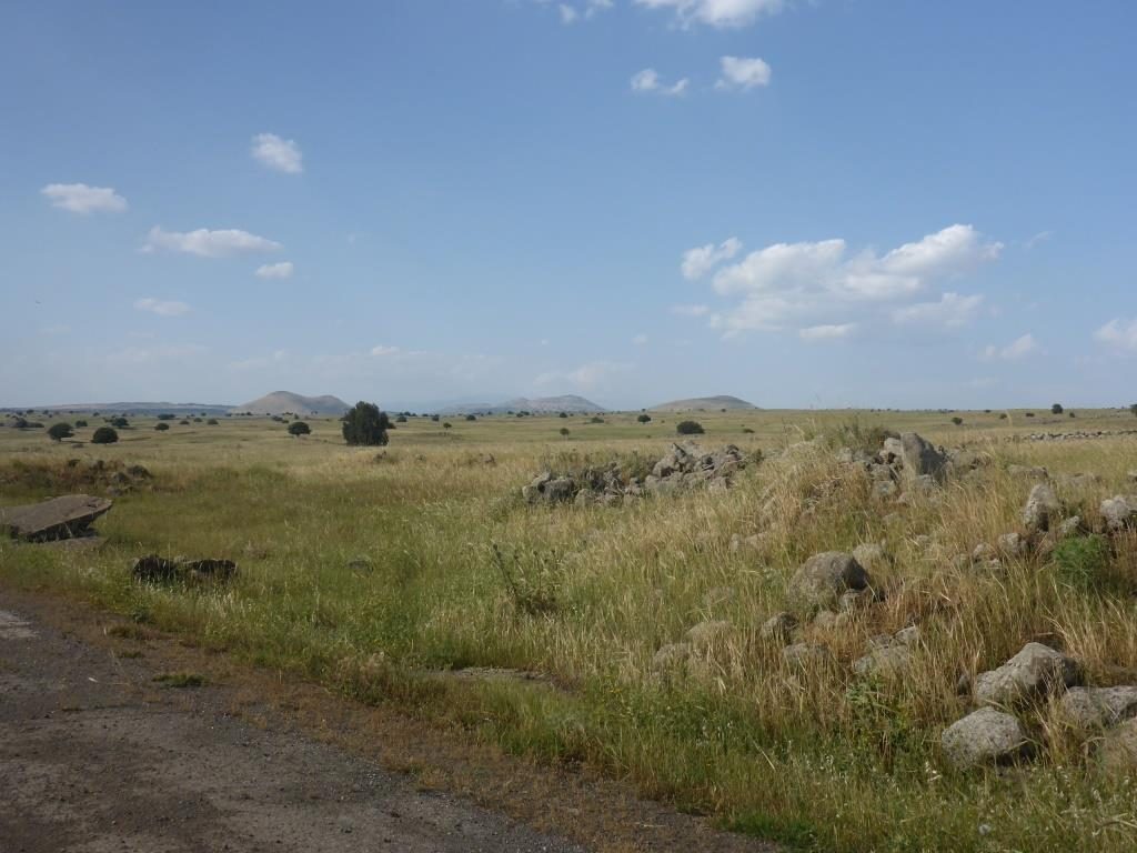 The endless plains of the Golan heights. Too bad you can just wonder around. After all this is one of the most land minded areas in the world Petroleum road