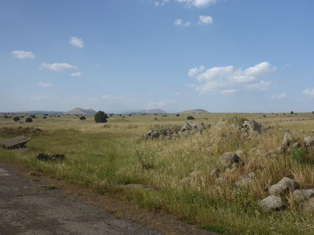 The endless plains of the Golan heights. Too bad you can just wonder around. After all this is one of the most land minded areas in the world Petroleum road