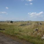 The endless plains of the Golan heights. Too bad you can just wonder around. After all this is one of the most land minded areas in the world Petroleum road