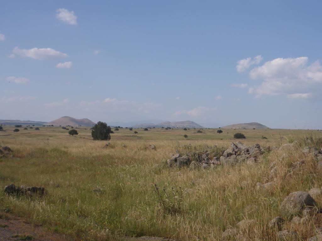 The endless plains of the Golan heights. Too bad you can just wonder around. After all this is one of the most land minded areas in the world Petroleum road