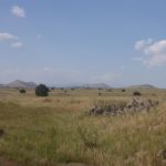 The endless plains of the Golan heights. Too bad you can just wonder around. After all this is one of the most land minded areas in the world Petroleum road