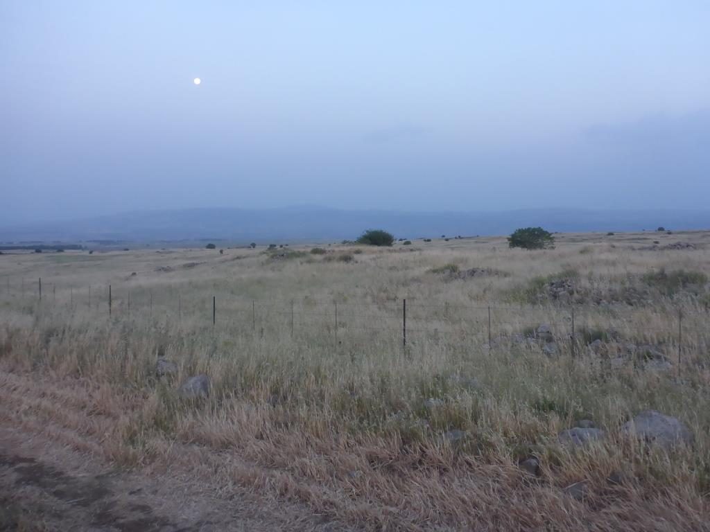 The endless plains of the Golan heights. Too bad you can just wonder around. After all this is one of the most land minded areas in the world Petroleum road